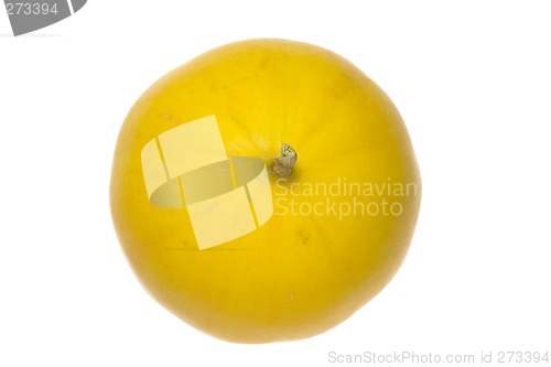 Image of Top of honey white melon

