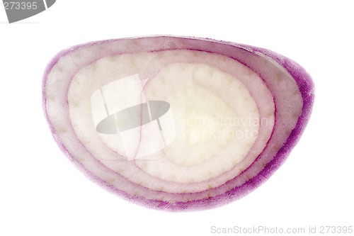 Image of Slice of shallot

