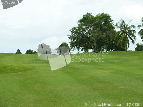 Image of Undulating fairway