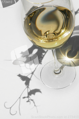 Image of Wine and Vine