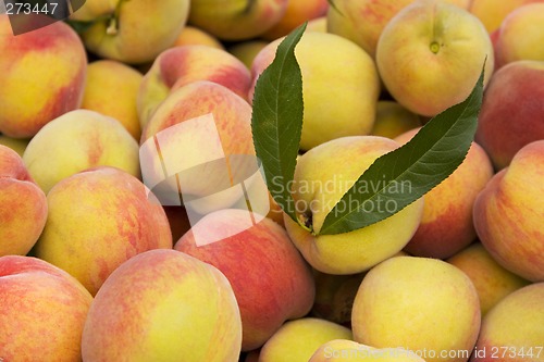 Image of Peaches