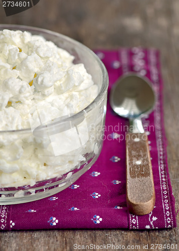 Image of fresh cottage cheese 