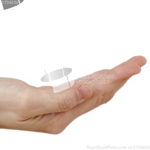 Image of Hand isolated on white