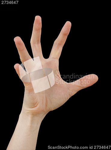 Image of White hand on black