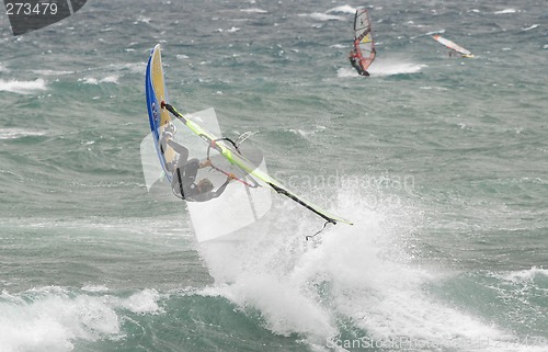 Image of Windsurfing