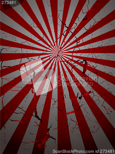 Image of radiate mottled red