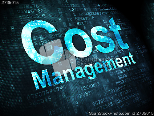 Image of Business concept: Cost Management on digital background