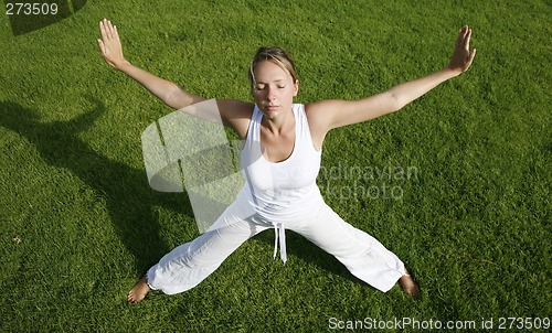 Image of Outdoor Yoga