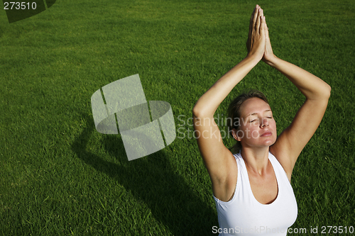 Image of Outdoor Yoga