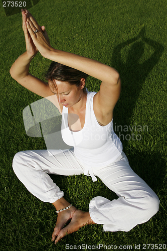 Image of Outdoor Yoga