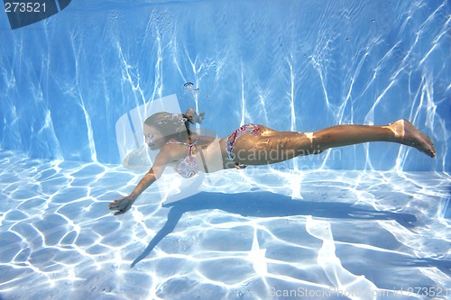 Image of Underwater Swimmer