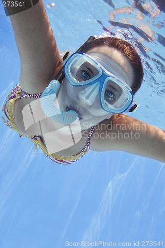 Image of Underwater Swimmer