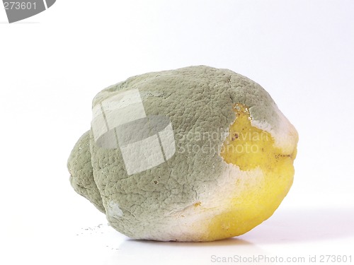 Image of Rotten Lemon