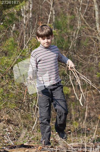 Image of Little boy carrying firewood in a forest