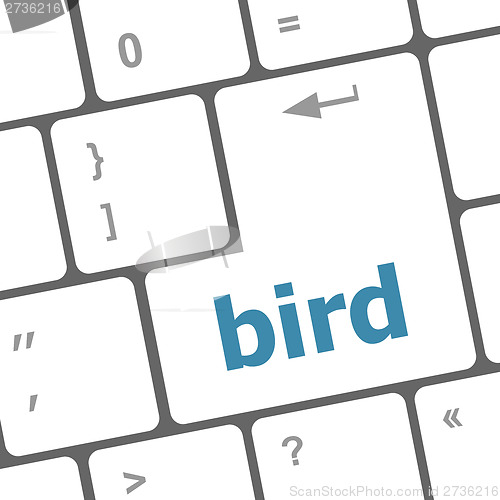 Image of Button keyboard key, keypad with bird word