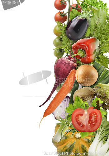 Image of Fresh Vegetables Collection