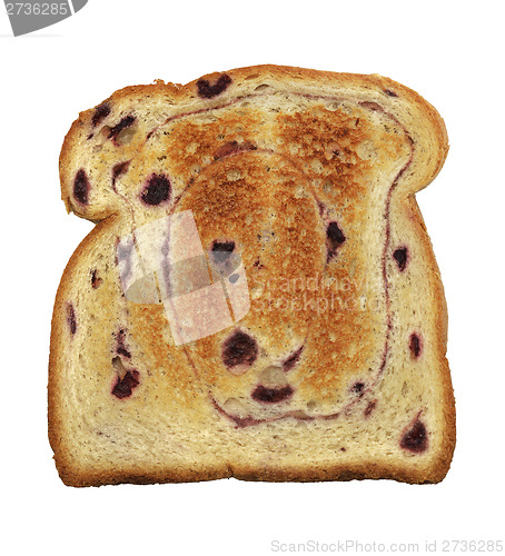 Image of Swirl Bread Toast With Blueberries