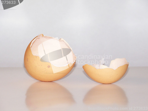Image of Egg Shell