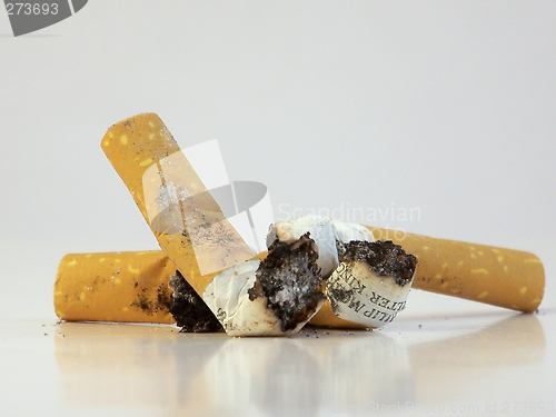 Image of Cigarette Butts