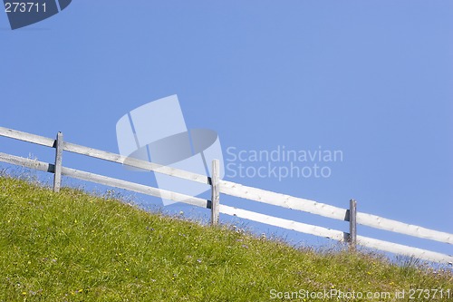 Image of Mountain meadow