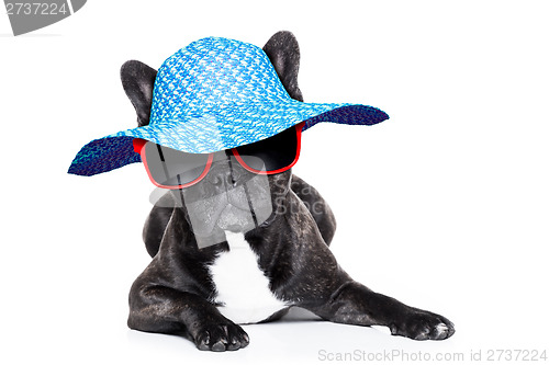 Image of french  bulldog on holidays