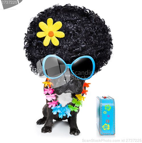 Image of hippie dog 