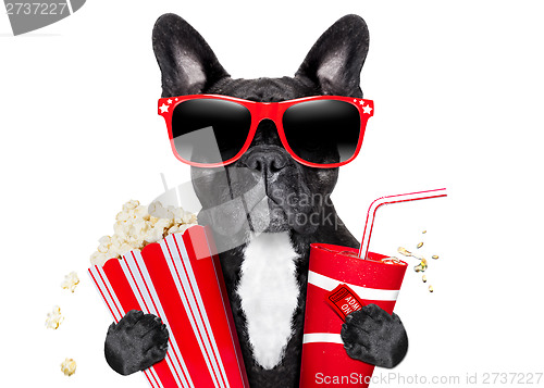 Image of dog to the movies