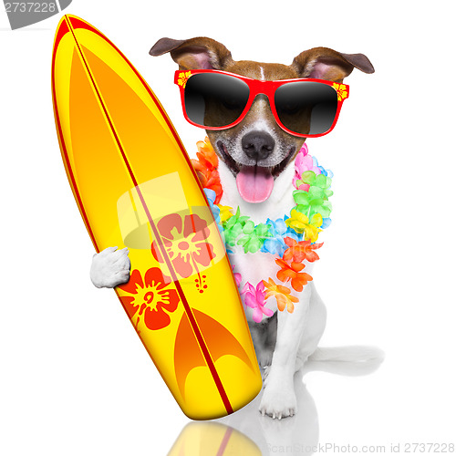 Image of surfer dog 