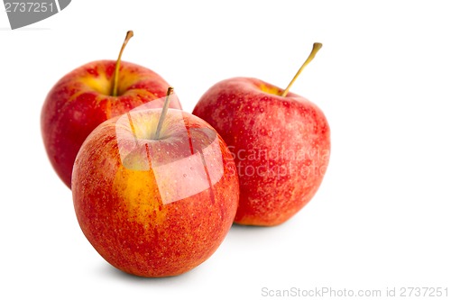 Image of Ripe red apple