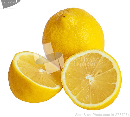 Image of lemons. Isolated on white background