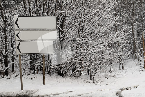 Image of Snow forest