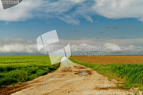 Image of Landscape