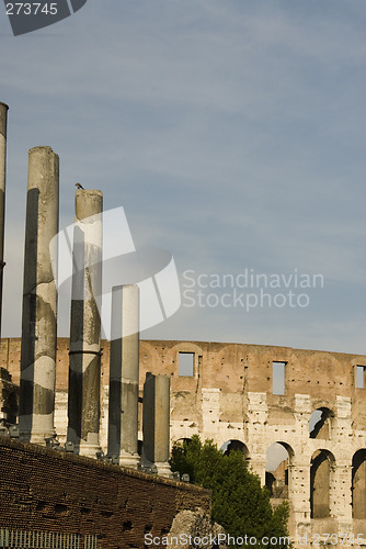 Image of collosseum rome italy