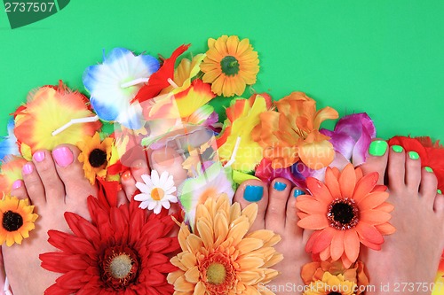 Image of pedicure nails, feet and flowers