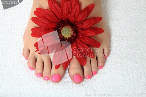 Image of pedicure nails, feet and flowers