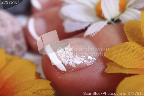 Image of pedicure nails, feet and flowers