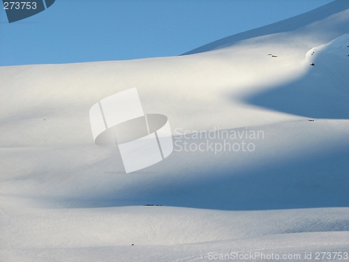 Image of Winter landscape