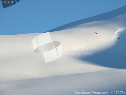 Image of Winter landscape