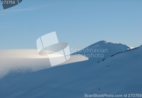 Image of Winter landscape