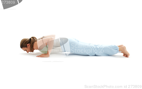 Image of chaturanga dandasana four-limbed staff pose #2