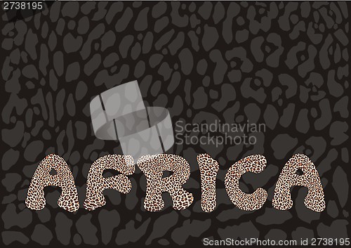 Image of Inscription Africa with leopard camouflage