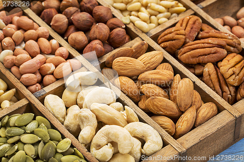 Image of nuts and seed collection