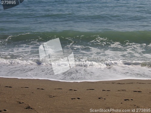 Image of sea shore