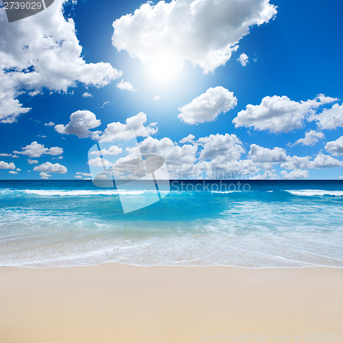 Image of Gorgeous Beach Landscape