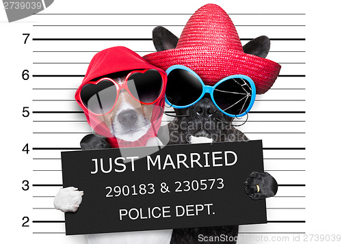 Image of just married mugshot