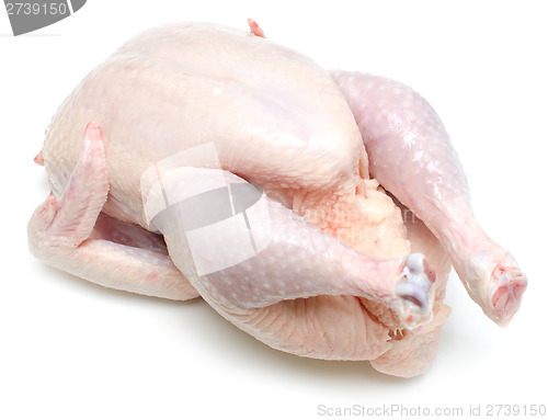 Image of raw chicken