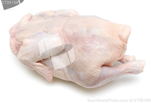 Image of raw chicken