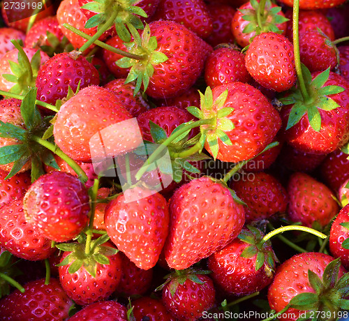 Image of strawberry