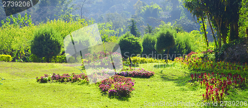 Image of garden
