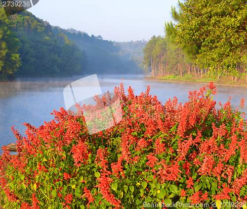 Image of beauty lake